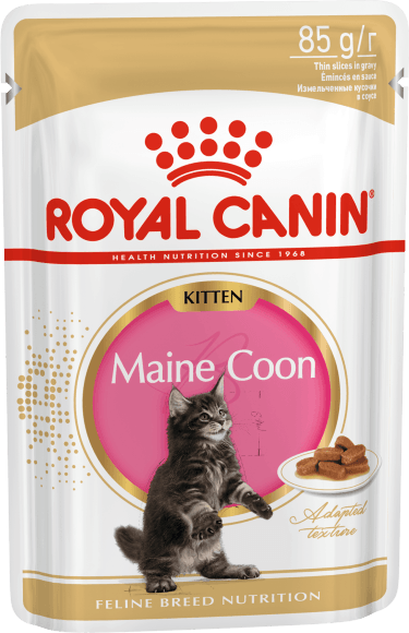16458.580 Royal Canin Kitten Main Coon - Paychi dlya kotyat porodi Mein-Kyn 85gr kypit v zoomagazine «PetXP» Royal Canin Kitten Main Coon - Паучи для котят породы Мейн-Кун 85гр