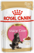 Royal Canin Kitten Maine Coon - Паучи для котят породы Мейн-Кун 85гр