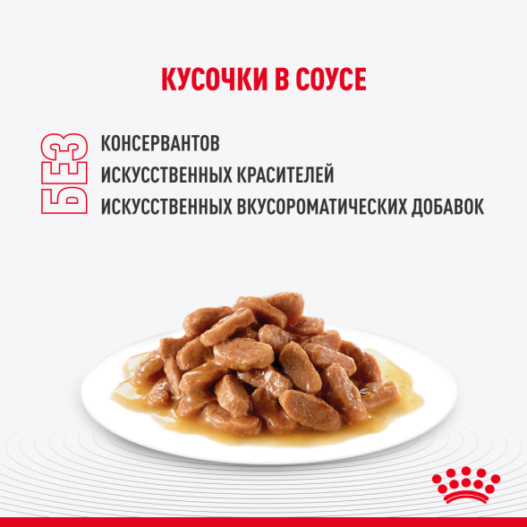 Royal Canin Kitten Maine Coon - Паучи для котят породы Мейн-Кун 85гр