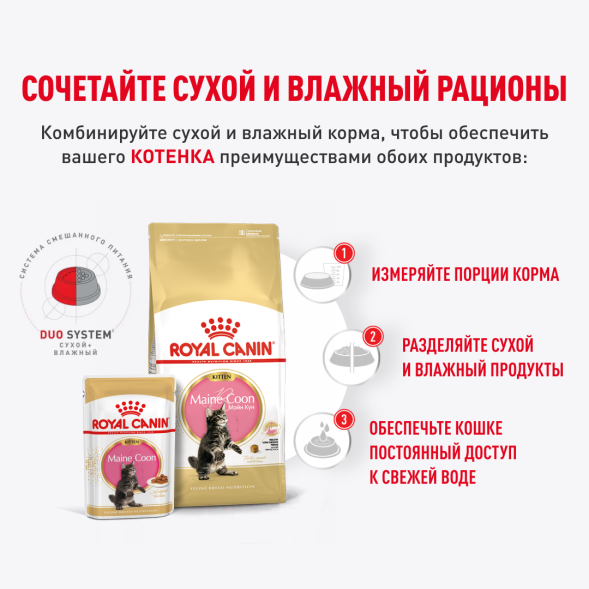 Royal Canin Kitten Maine Coon - Паучи для котят породы Мейн-Кун 85гр