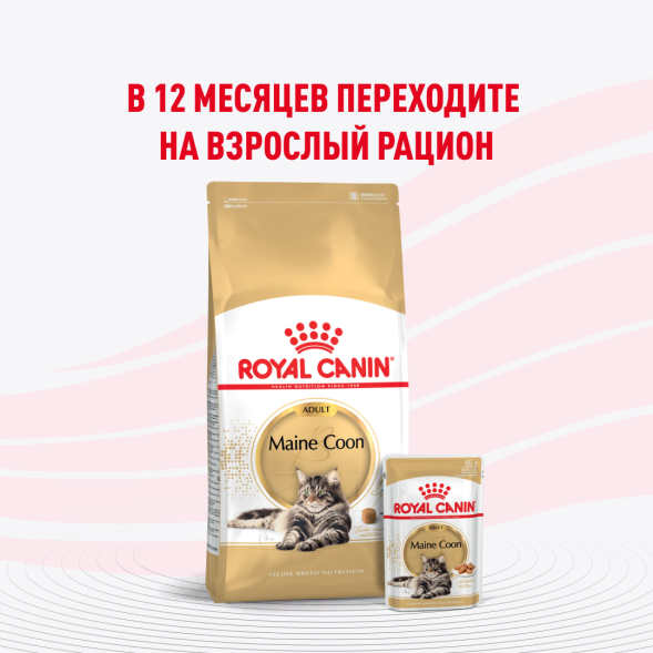Royal Canin Kitten Maine Coon - Паучи для котят породы Мейн-Кун 85гр