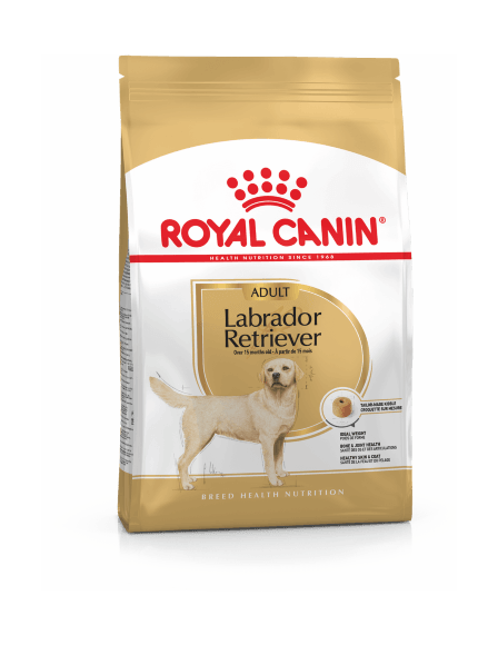 17183.580 Royal Canin Labrador Retriever 30 - Syhoi korm dlya porodi Labrador Retriver kypit v zoomagazine «PetXP» Royal Canin Labrador Retriever 30 - Сухой корм для породы Лабрадор Ретривер