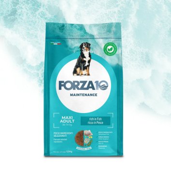 Forza10 Maintenance - Сухой корм для взрослых собак крупных пород, с Рыбой
