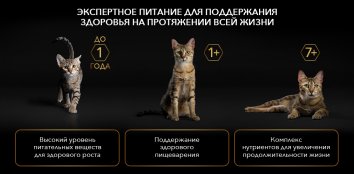 Pro Plan - Сухой корм для Кошек с Курицей