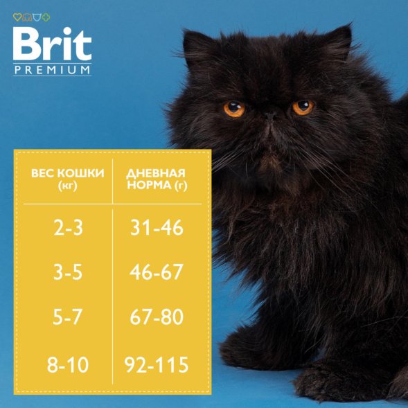 Brit - Сухой корм для взрослых кошек, с Лососем