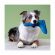 Mr.Kranch - Игрушка для собак средних и крупных пород, Бумеранг с пищалкой, 34х28,5х6,5см