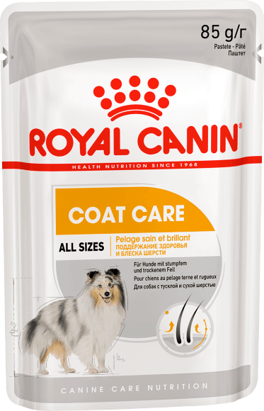 14769.580 Royal Canin Coat Beauty - Pashtet dlya sobak s tyskloi i syhoi sherstu 85gr kypit v zoomagazine «PetXP» Royal Canin Coat Beauty - Паштет для собак с тусклой и сухой шерстью 85гр