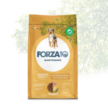 Forza10 Maintenance Medium Adult - Сухой корм для взрослых собак средних пород, с Курицей и Картофелем