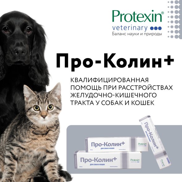 Protexin - Проколин пробиотическая кормовая добавка для нормализации микрофлоры ЖКТ и стимуляции обменных процессов у собак и кошек