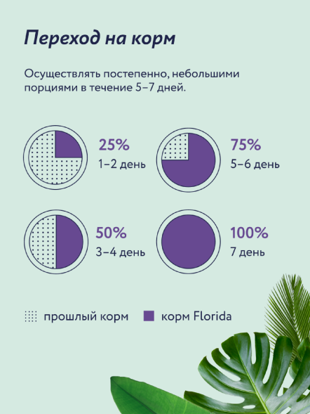 Florida - Сухой корм для взрослых собак средних и крупных пород с индейкой, ягненком и черникой