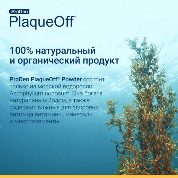 ProDen PlaqueOff - Средство для профилактики зубного камня у кошек, 40 г