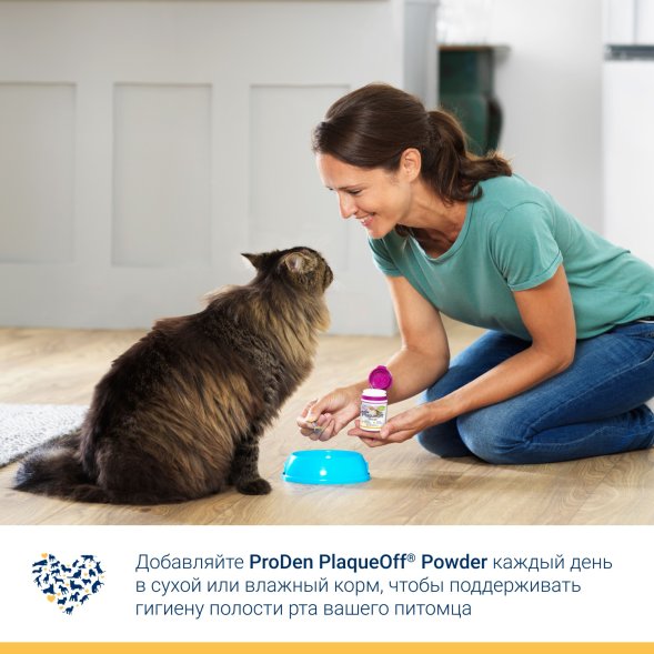 ProDen PlaqueOff - Средство для профилактики зубного камня у кошек, 40 г