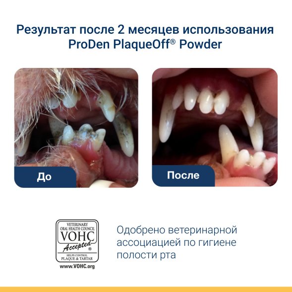 ProDen PlaqueOff - Средство для профилактики зубного камня у кошек, 40 г