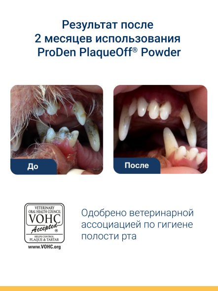 ProDen PlaqueOff - Средство для профилактики зубного камня у кошек, 40 г