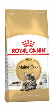 43447.190x0 Royal Canin Kitten - Syhoi korm dlya Kotyat s 4 do 12 mesyacev kypit v zoomagazine «PetXP» Royal Canin Maine Coon 31 - Сухой корм для кошек породы Мейн Кун