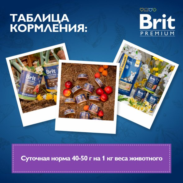 Brit - Консервы для собак, С Бараниной и Рубцом для взрослых собак всех пород, 850 гр