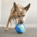 Kong Rewards - Игрушка для собак, Мяч для лакомств, Резина