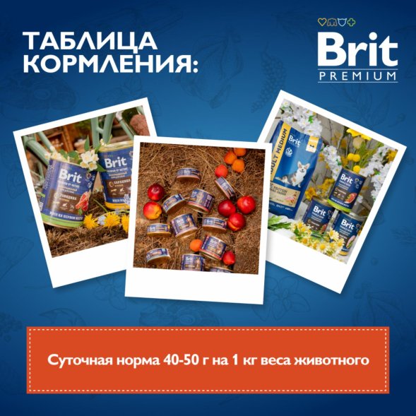 Brit - Консервы для взрослых собак всех пород, С Говядиной и Печенью, 850 гр