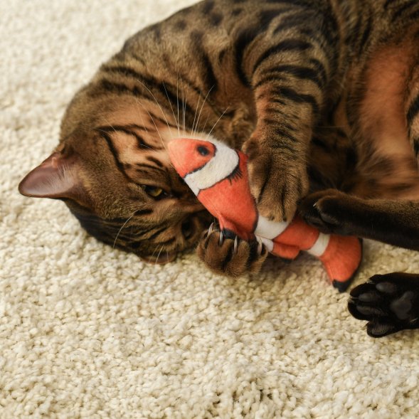 PetSHOP - Игрушка для кошек &amp;quot;Рыба клоун&amp;quot; с валерианой и кошачьей мятой, 16,5 см