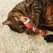 PetSHOP - Игрушка для кошек &amp;quot;Рыба клоун&amp;quot; с валерианой и кошачьей мятой, 16,5 см