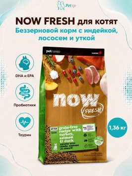 Now Fresh Kitten - Сухой беззерновой корм для котят, с индейкой, лососем и уткой