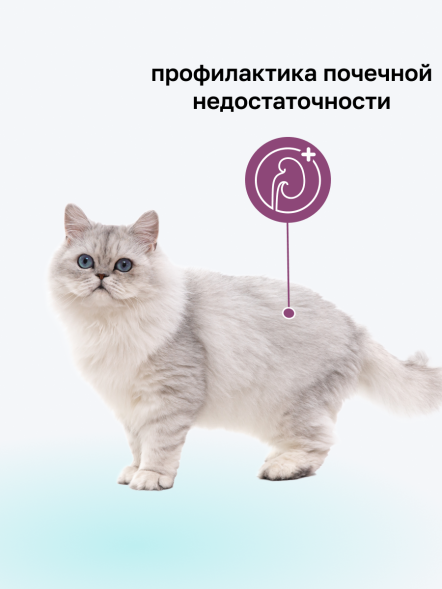 Organix Preventive Gastrointestinal - Пауч для кошек для поддержания здоровья пищеварительной системы, ветеринарный, диетический корм, 85 г