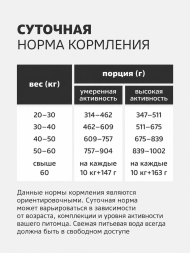 Smart Dog - Сухой корм для средних и крупных пород с чувствительным пищеварением, с Лососем