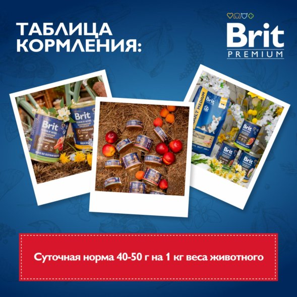 Brit - Консервы для взрослых кошек, с Говядиной, 200 гр