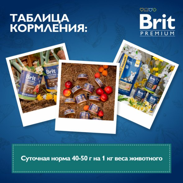 Brit - Консервы с индейкой и уткой для взрослых собак всех пород 850 гр