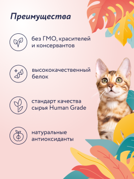 Florida Indoor Sterilized 33 - Сухой корм для домашних стерилизованных кошек, с телятиной и дыней