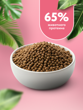 Florida Indoor Sterilized 33 - Сухой корм для домашних стерилизованных кошек, с телятиной и дыней