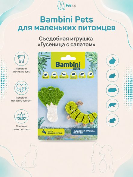Bambini Pets - игрушка для грызунов &amp;quot;Гусеница с салатом&amp;quot; из люфы, 2 шт