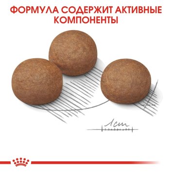 Royal Canin Maxi Digestive Care - Сухой корм для собак крупных пород с чувствительным пищеварением