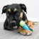 Kong Strenght - Игрушка для собак, Мяч усиленной прочности, Для лакомств, Резина