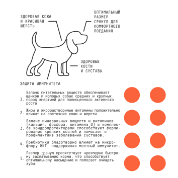 AJO Puppy & Junior - Сухой корм для щенков и молодых собак средних и крупных пород, с Индейкой и Гречкой