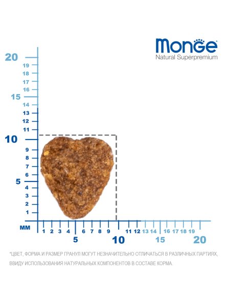 Monge Indoor - Сухой корм для домашних кошек