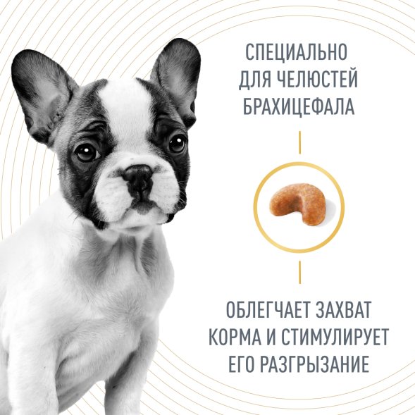 Royal Canin French Bulldog Puppy - Корм для щенков породы Французский Бульдог