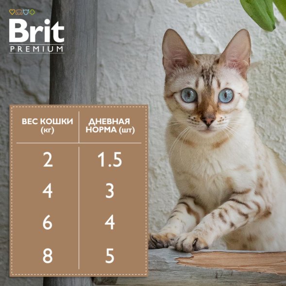 Brit - Пауч для взрослых кошек, Ассорти из птицы, в желе, 85 гр