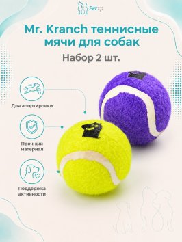 Mr. Kranch -  Игрушка для собак Теннисный мяч средний 6,3 см набор 2 шт. желтый/фиолетовый