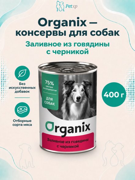 Organix - Консервы для собак, Заливное из говядины с черникой