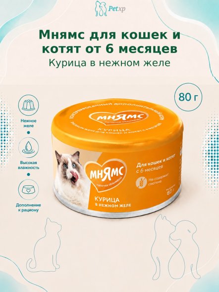 Мнямс - Влажный дополнительный корм для кошек и котят старше 6 месяцев, курица в нежном желе 80 г