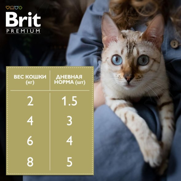 Brit - Пауч для взрослых кошек, С Форелью, в желе, 85 гр