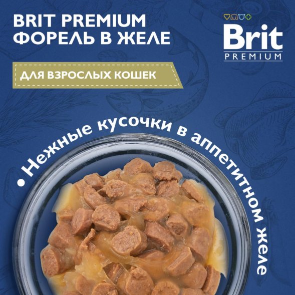Brit - Пауч для взрослых кошек, С Форелью, в желе, 85 гр