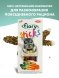 Fiory - Палочки для шиншилл Sticks с морковью, 2х40 г