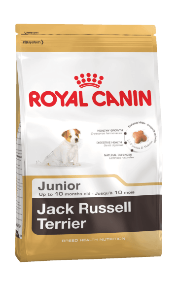 Royal Canin Jack Russell Terrier Junior - Сухой корм для щенков породы джек-рассел терьер 500гр