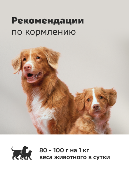 Smart Dog - Консервы для взрослых собак и щенков, кусочки говядины с индейкой в нежном соусе, 850гр