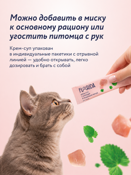 Florida - Крем-суп для котят и кошек, с курицей и кошачьей мятой 75 гр