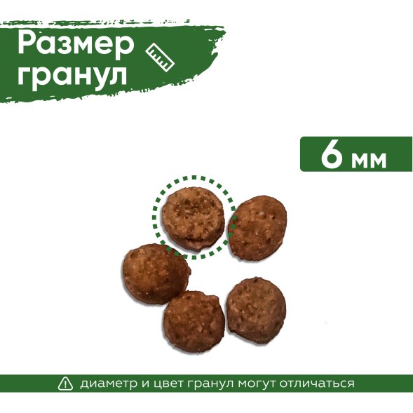 Statera - Сухой сбалансированный корм для котят до 12 месяцев, с Цыпленком