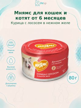 Мнямс - Влажный дополнительный корм для кошек и котят старше 6 месяцев, курица с лососем в нежном желе 80 г