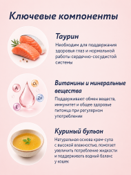 Florida - Крем-суп для котят и кошек, для чувствительного пищеварения, с лососем и черникой 75гр